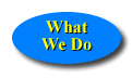 What We Do