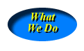 What We Do